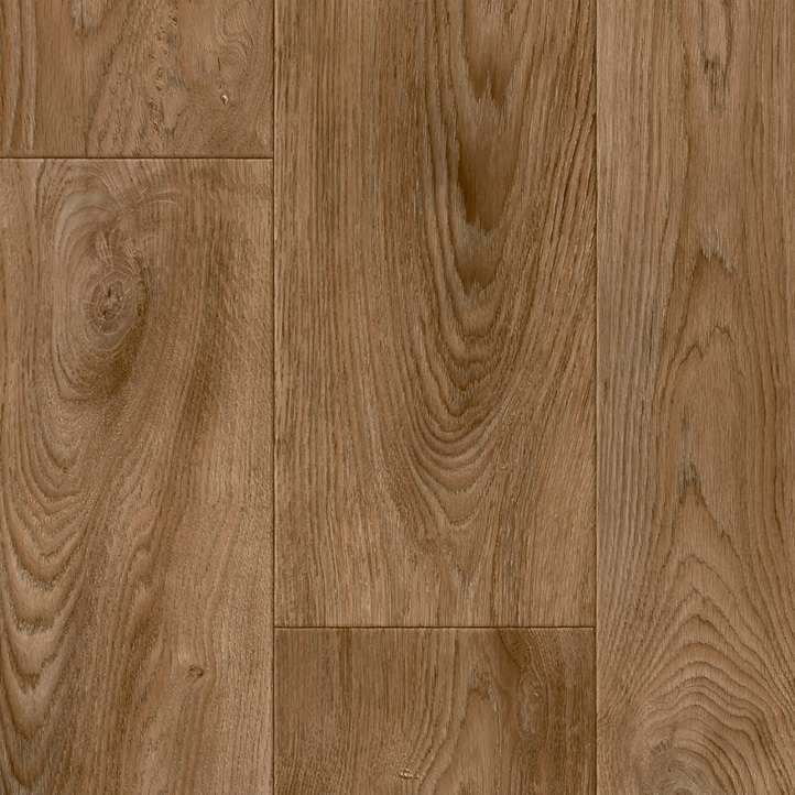 Burned Wood T37